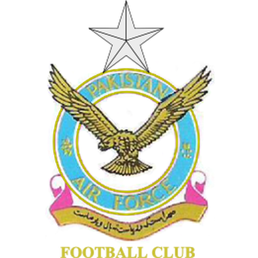 Pakistan Air Force artwork 1