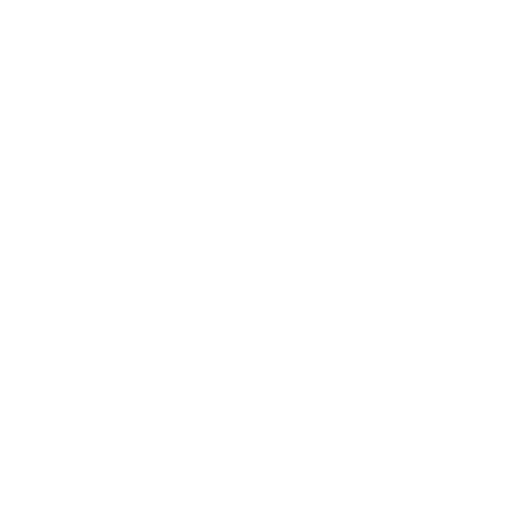 New Zealand Cricket Women artwork 1
