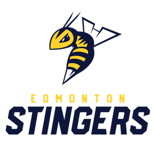 Edmonton Stingers artwork 1