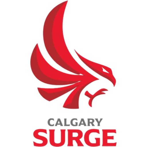 Calgary Surge artwork 1