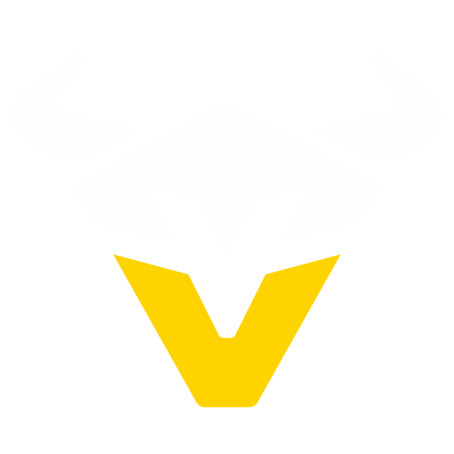 Vienna Vikings artwork 1