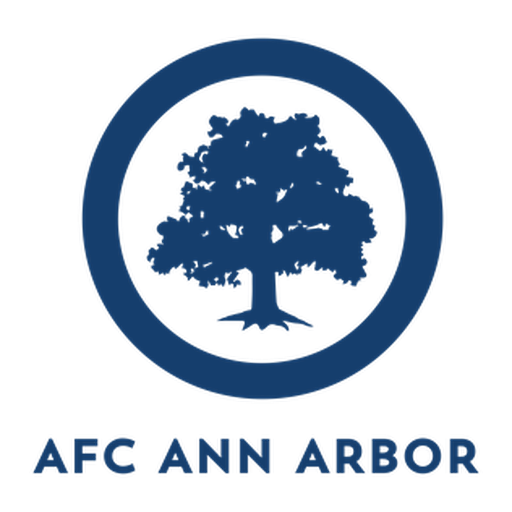 AFC Ann Arbor artwork 1