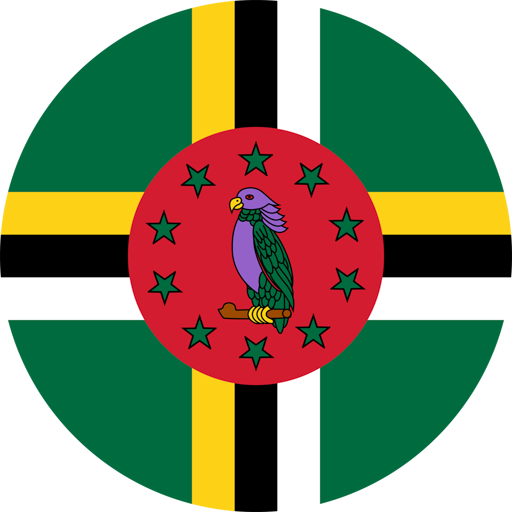 Dominica Athletics artwork 1