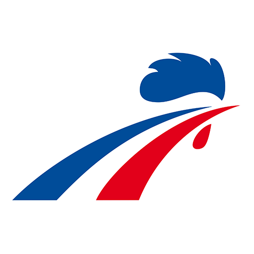 France Ice Hockey badge