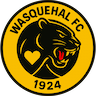 Wasquehal