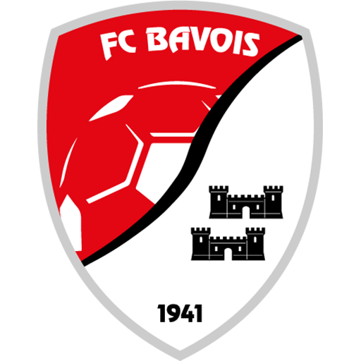 Bavois badge
