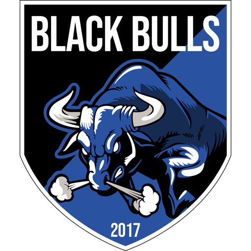 Associação Black Bulls artwork 1