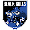 Associação Black Bulls