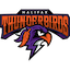 Halifax Thunderbirds