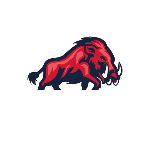 Ravensburg Razorbacks artwork 1