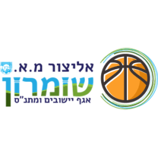 Elitzur Shomron artwork 1