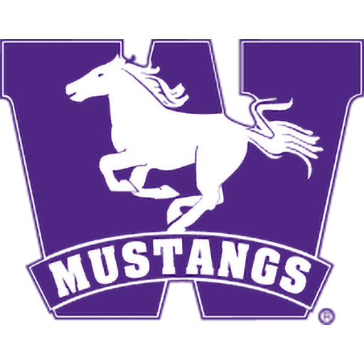 Western Mustangs artwork 1