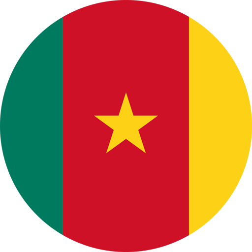 Cameroon Volleyball Women artwork 1