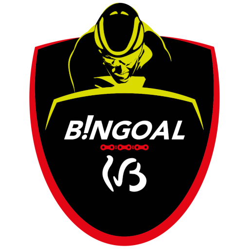 Bingoal WB artwork 1