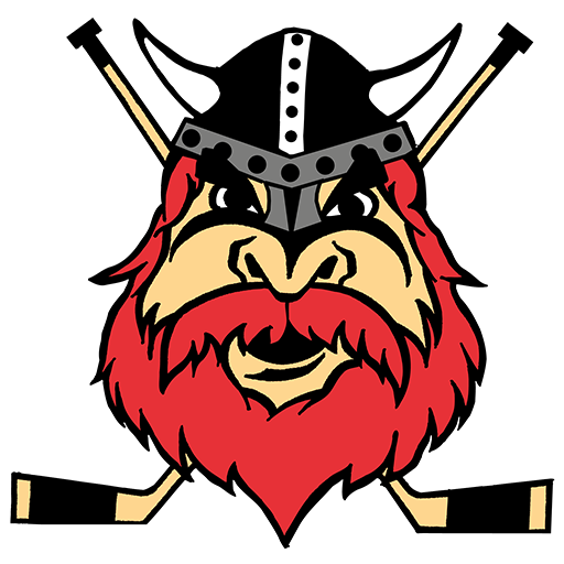 Nybro Vikings artwork 1