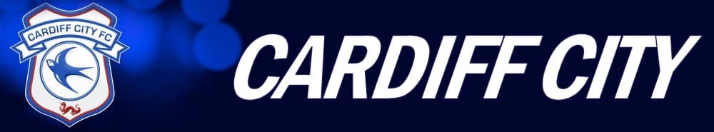 Cardiff banner