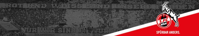 FC Koln artwork 4