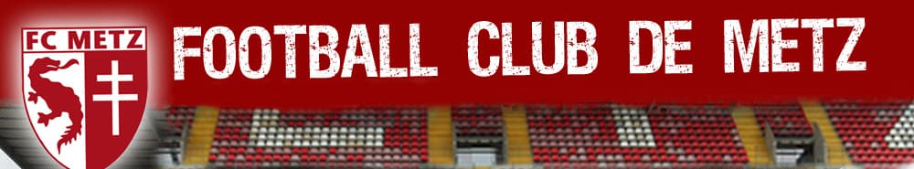 Metz banner