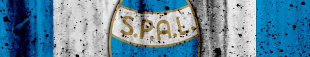 SPAL 2013 artwork 4