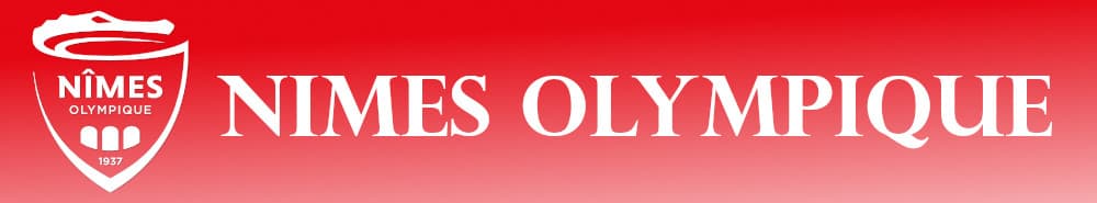 Nimes banner