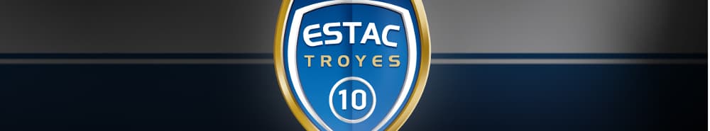 Troyes banner
