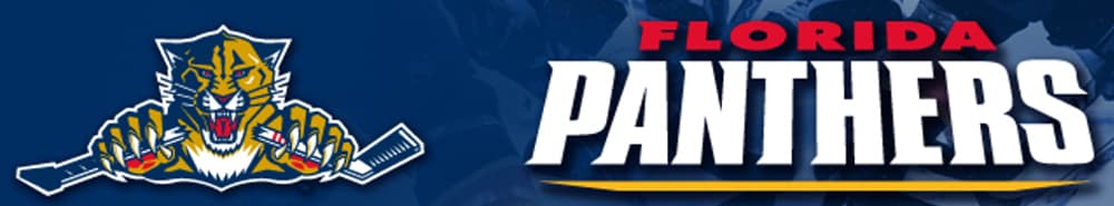 Florida Panthers banner