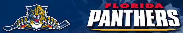 Florida Panthers artwork 4