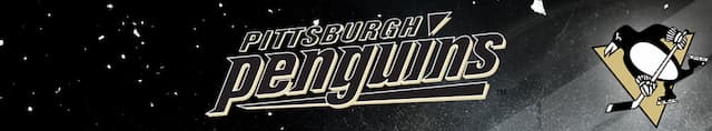 Pittsburgh Penguins artwork 4
