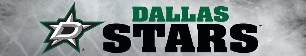 Dallas Stars banner