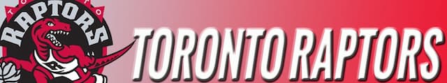 Toronto Raptors artwork 4