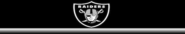 Las Vegas Raiders artwork 4