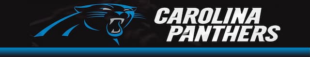 Carolina Panthers artwork 4