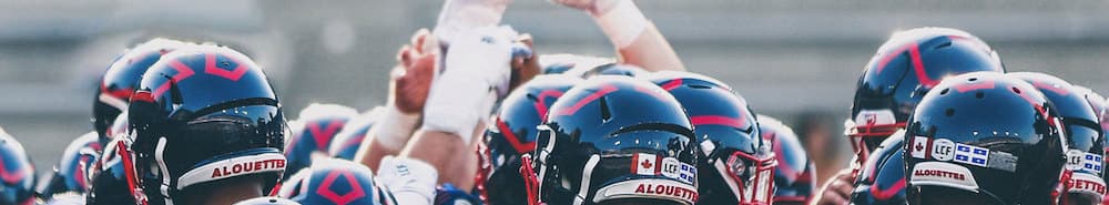 Montreal Alouettes banner