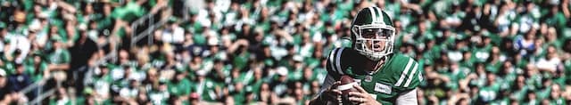 Saskatchewan Roughriders artwork 4