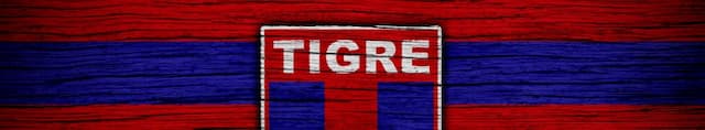 Tigre artwork 4