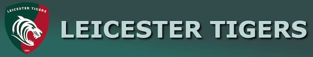 Leicester Tigers artwork 4