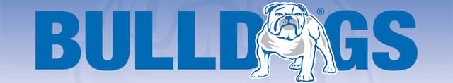 Canterbury Bankstown Bulldogs artwork 4
