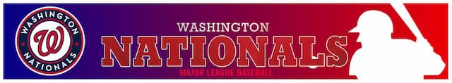 Washington Nationals artwork 4