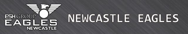 Newcastle Eagles artwork 4