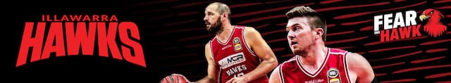 Illawarra Hawks artwork 4