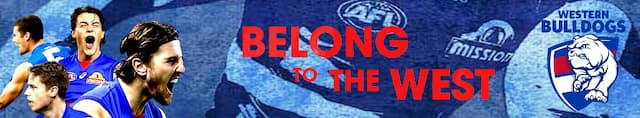 Western Bulldogs artwork 4