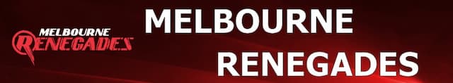 Melbourne Renegades artwork 4
