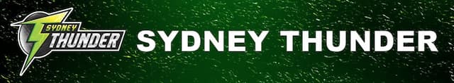 Sydney Thunder artwork 4
