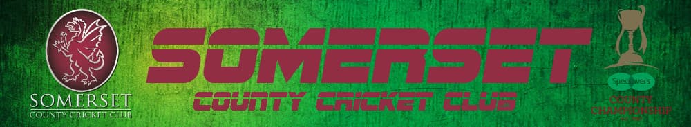 Somerset banner