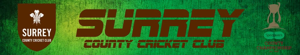 Surrey banner