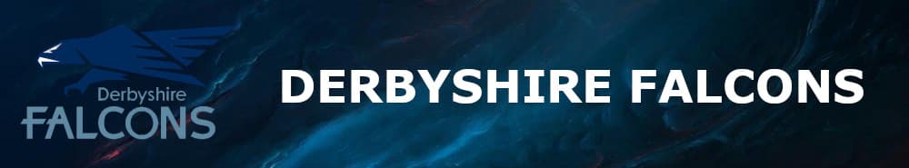 Derbyshire Falcons banner