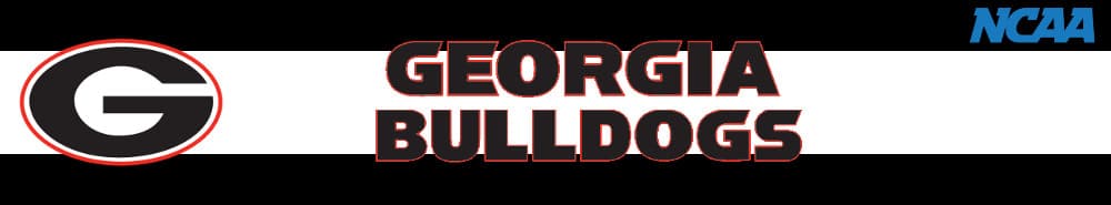 Georgia banner