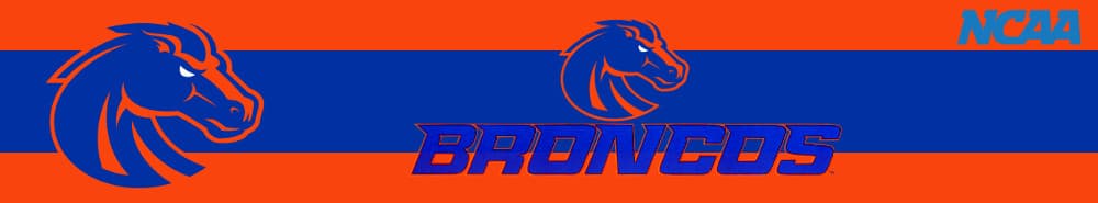 Boise State banner