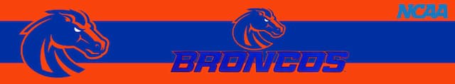 Boise State artwork 3