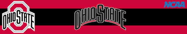Ohio State artwork 4